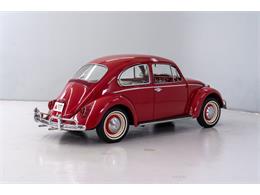 1965 Volkswagen Beetle (CC-2083552) for sale in Concord, North Carolina