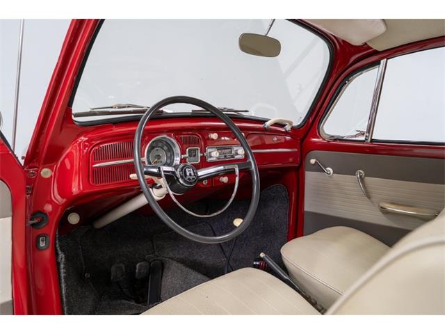 1965 Volkswagen Beetle (CC-2083552) for sale in Concord, North Carolina