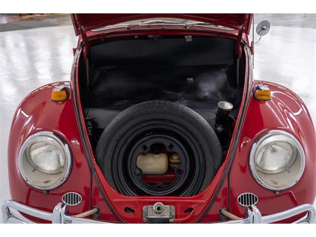 1965 Volkswagen Beetle (CC-2083552) for sale in Concord, North Carolina