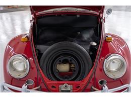 1965 Volkswagen Beetle (CC-2083552) for sale in Concord, North Carolina