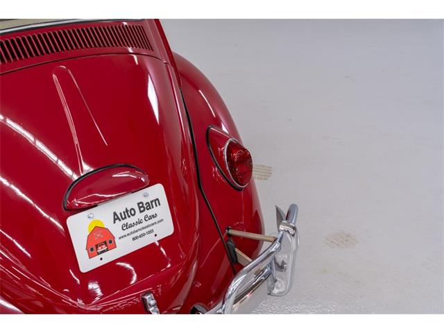 1965 Volkswagen Beetle (CC-2083552) for sale in Concord, North Carolina