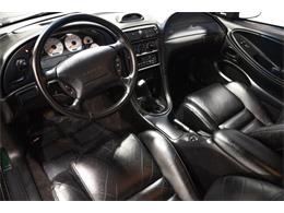 1996 Ford Mustang (CC-2083568) for sale in Bristol, Pennsylvania
