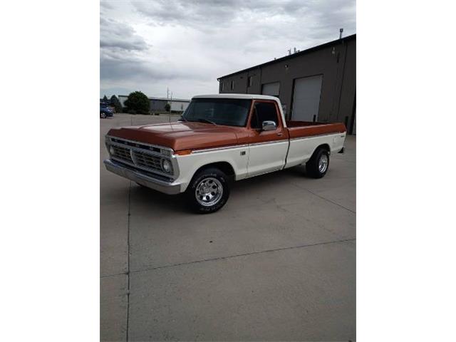 1973 Ford F100 (CC-2080357) for sale in Cadillac, Michigan