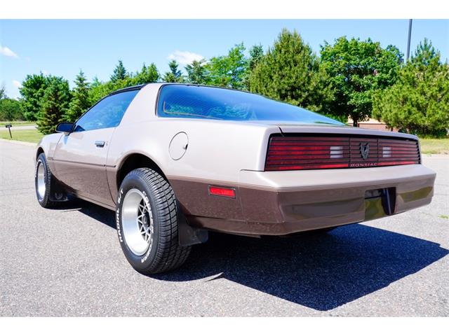 1984 Pontiac Firebird (CC-2083579) for sale in Ramsey, Minnesota