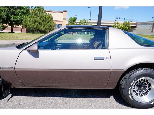 1984 Pontiac Firebird (CC-2083579) for sale in Ramsey, Minnesota