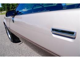 1984 Pontiac Firebird (CC-2083579) for sale in Ramsey, Minnesota
