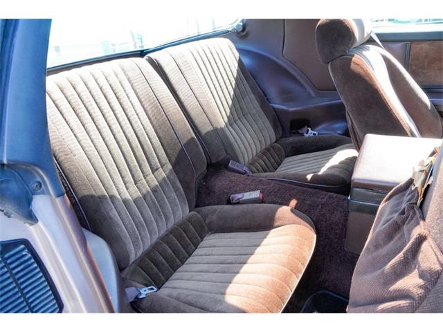 1984 Pontiac Firebird (CC-2083579) for sale in Ramsey, Minnesota