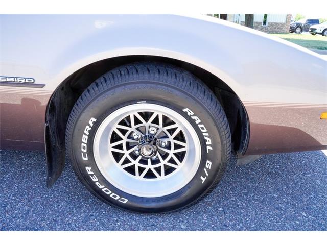 1984 Pontiac Firebird (CC-2083579) for sale in Ramsey, Minnesota