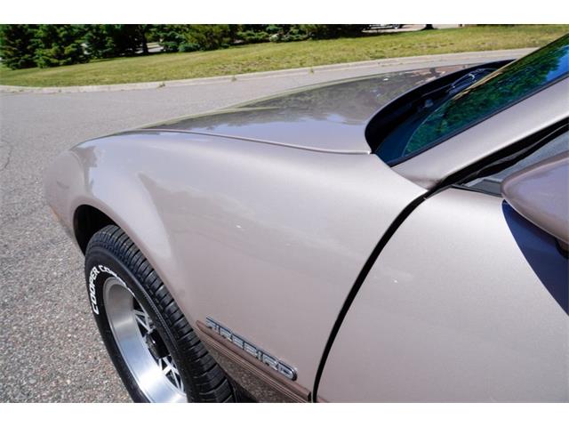 1984 Pontiac Firebird (CC-2083579) for sale in Ramsey, Minnesota