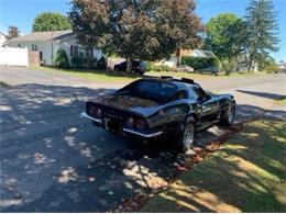 1973 Chevrolet Corvette (CC-2080358) for sale in Cadillac, Michigan