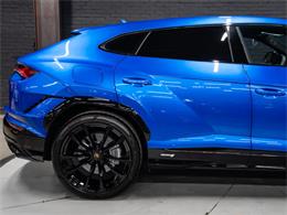2024 Lamborghini Urus (CC-2083588) for sale in Sherwood Park, Alberta