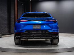 2024 Lamborghini Urus (CC-2083588) for sale in Sherwood Park, Alberta