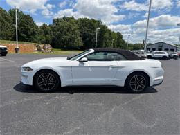 2018 Ford Mustang (CC-2083613) for sale in Paducah, Kentucky