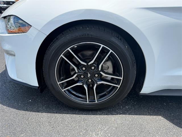 2018 Ford Mustang (CC-2083613) for sale in Paducah, Kentucky