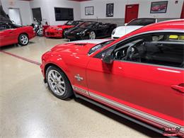 2008 Ford Shelby GT500  (CC-2083677) for sale in Glen Ellyn, Illinois