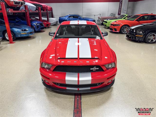 2008 Ford Shelby GT500  (CC-2083677) for sale in Glen Ellyn, Illinois