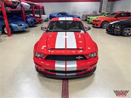 2008 Ford Shelby GT500  (CC-2083677) for sale in Glen Ellyn, Illinois