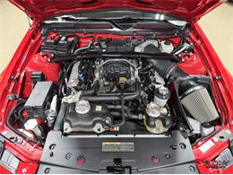 2008 Ford Shelby GT500  (CC-2083677) for sale in Glen Ellyn, Illinois