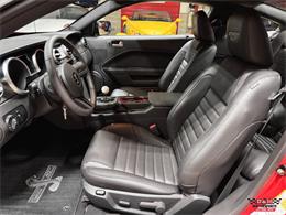 2008 Ford Shelby GT500  (CC-2083677) for sale in Glen Ellyn, Illinois