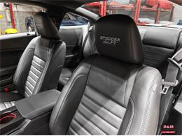 2008 Ford Shelby GT500  (CC-2083677) for sale in Glen Ellyn, Illinois