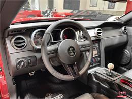 2008 Ford Shelby GT500  (CC-2083677) for sale in Glen Ellyn, Illinois