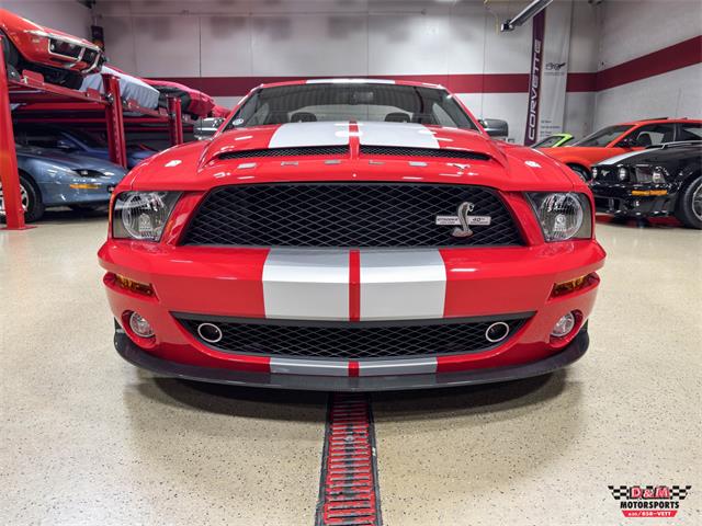 2008 Ford Shelby GT500  (CC-2083677) for sale in Glen Ellyn, Illinois