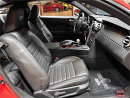 2008 Ford Shelby GT500  (CC-2083677) for sale in Glen Ellyn, Illinois