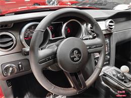 2008 Ford Shelby GT500  (CC-2083677) for sale in Glen Ellyn, Illinois