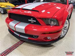 2008 Ford Shelby GT500  (CC-2083677) for sale in Glen Ellyn, Illinois