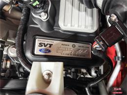 2008 Ford Shelby GT500  (CC-2083677) for sale in Glen Ellyn, Illinois
