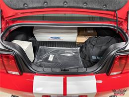 2008 Ford Shelby GT500  (CC-2083677) for sale in Glen Ellyn, Illinois