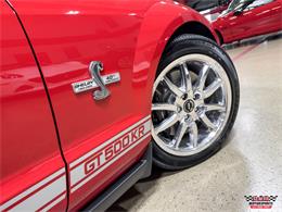 2008 Ford Shelby GT500  (CC-2083677) for sale in Glen Ellyn, Illinois