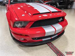 2008 Ford Shelby GT500  (CC-2083677) for sale in Glen Ellyn, Illinois