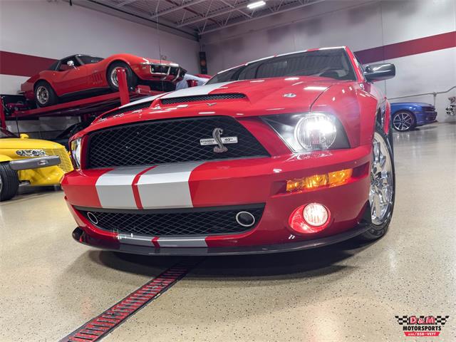 2008 Ford Shelby GT500  (CC-2083677) for sale in Glen Ellyn, Illinois