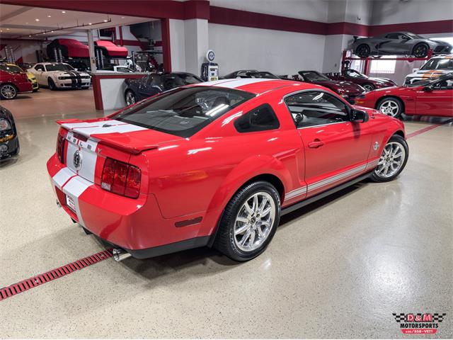 2008 Ford Shelby GT500  (CC-2083677) for sale in Glen Ellyn, Illinois