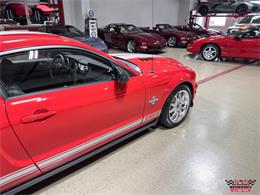 2008 Ford Shelby GT500  (CC-2083677) for sale in Glen Ellyn, Illinois