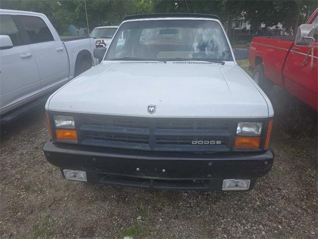 1989 Dodge Dakota (CC-2083681) for sale in Spirit Lake, Iowa