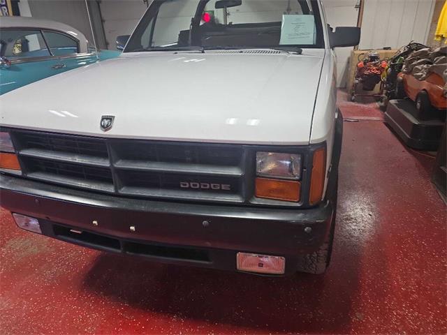 1989 Dodge Dakota (CC-2083681) for sale in Spirit Lake, Iowa