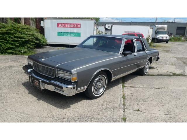 1987 Chevrolet Caprice (CC-2083730) for sale in Colombus, Ohio