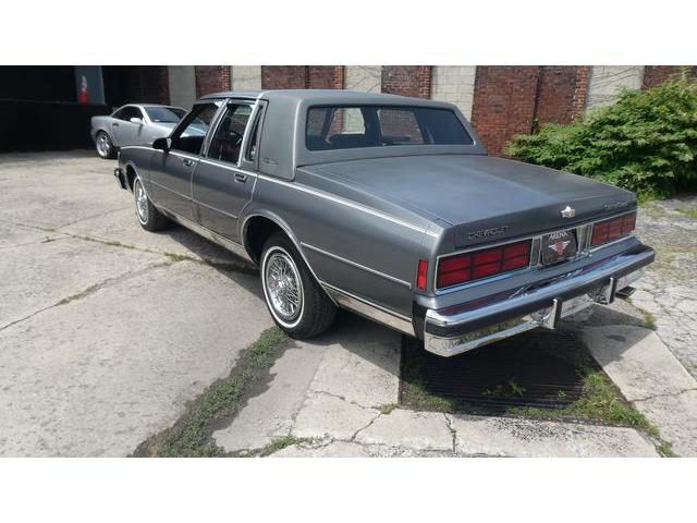 1987 Chevrolet Caprice (CC-2083730) for sale in Colombus, Ohio