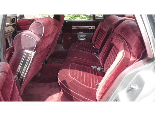 1987 Chevrolet Caprice (CC-2083730) for sale in Colombus, Ohio