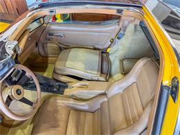1981 Chevrolet Corvette (CC-2083746) for sale in Washington, Michigan