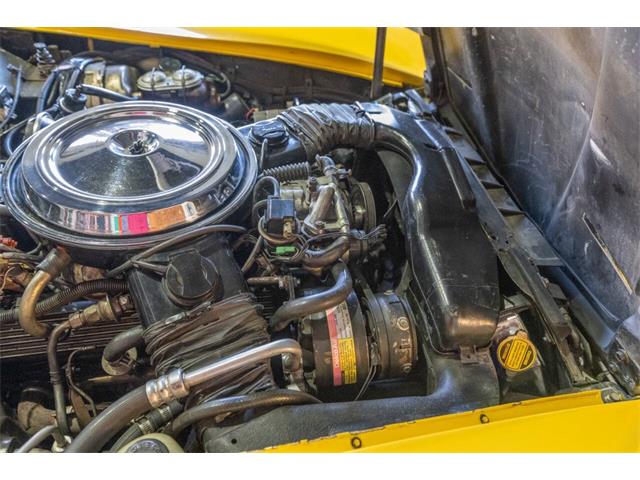 1981 Chevrolet Corvette (CC-2083746) for sale in Washington, Michigan