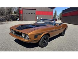 View this 1973 Ford Mustang