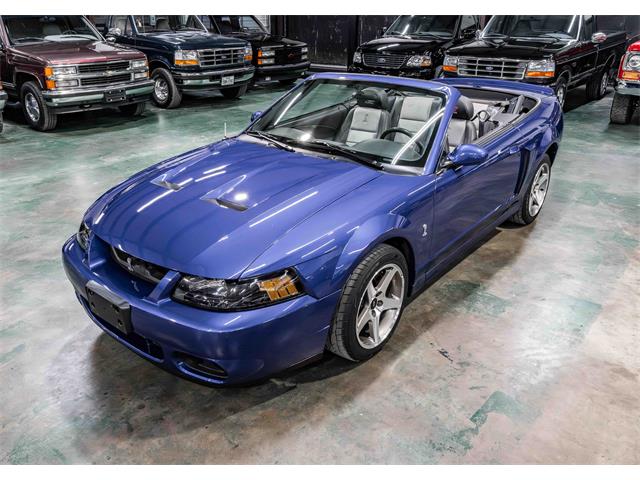 2003 Ford Cobra (CC-2083762) for sale in Sherman, Texas