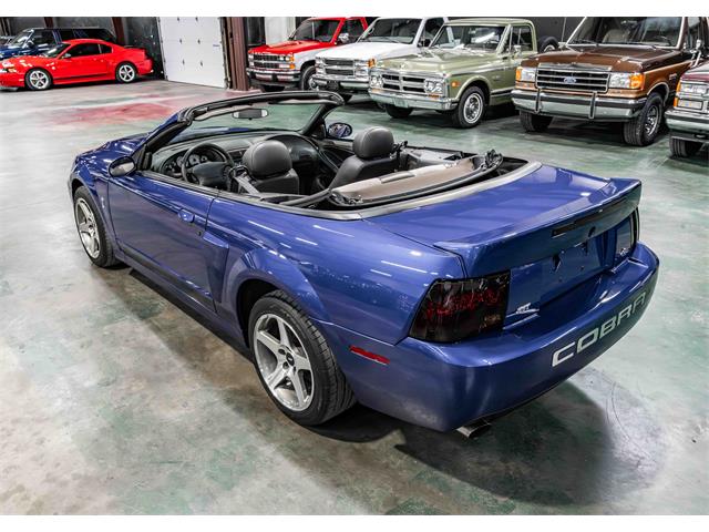 2003 Ford Cobra (CC-2083762) for sale in Sherman, Texas