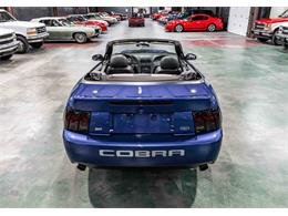 2003 Ford Cobra (CC-2083762) for sale in Sherman, Texas