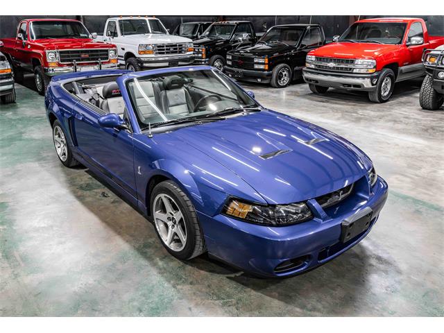 2003 Ford Cobra (CC-2083762) for sale in Sherman, Texas