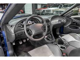 2003 Ford Cobra (CC-2083762) for sale in Sherman, Texas