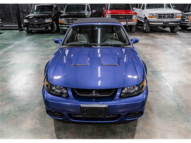 2003 Ford Cobra (CC-2083762) for sale in Sherman, Texas